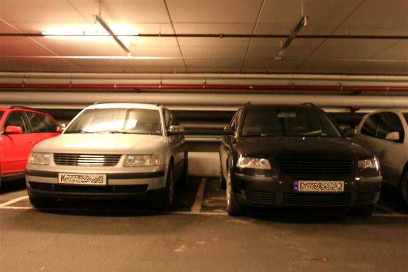 Picture 062 (Medium).jpg