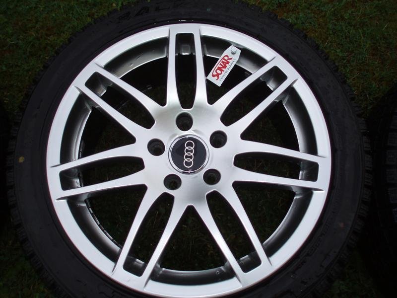 P8120950 (Medium).JPG