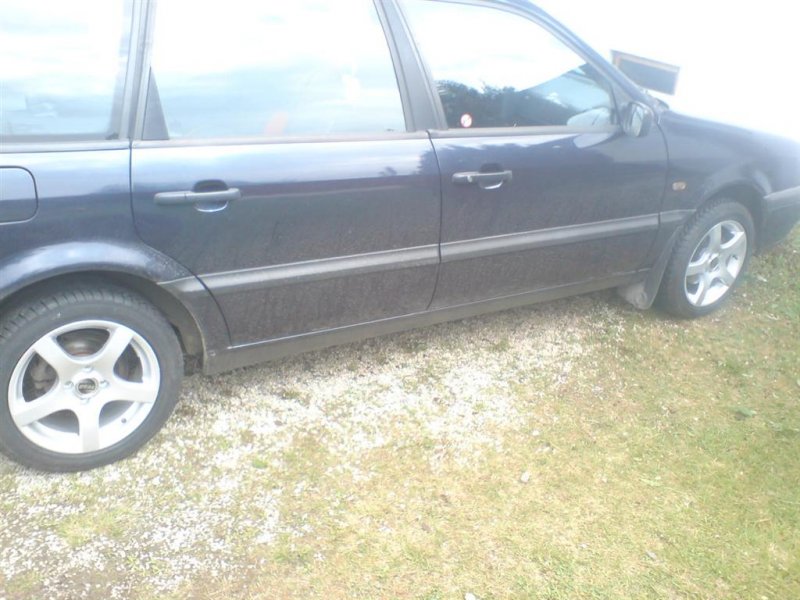 DSC00674 (Large).JPG