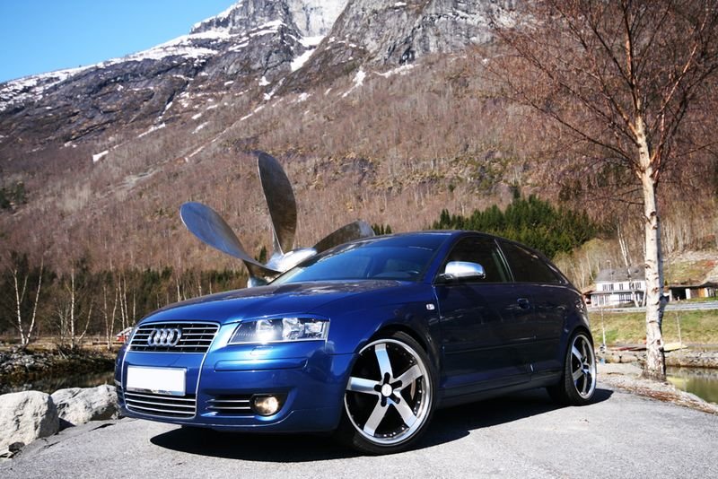 IMG_4157 [800x600].jpg