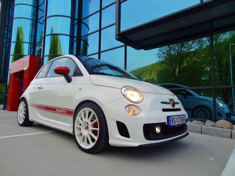 DSC02420 (Large).jpg