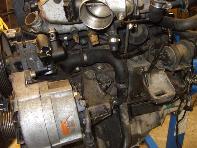 DSCF1943 (Medium).JPG