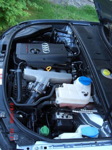 CIMG0225 (Medium).JPG