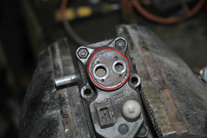 DSC_7898 (1024 x 681).jpg