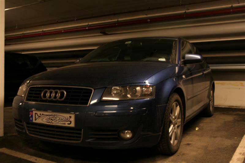 Picture 043 (Medium).jpg