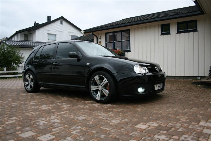 IMG_7092 (Large).JPG