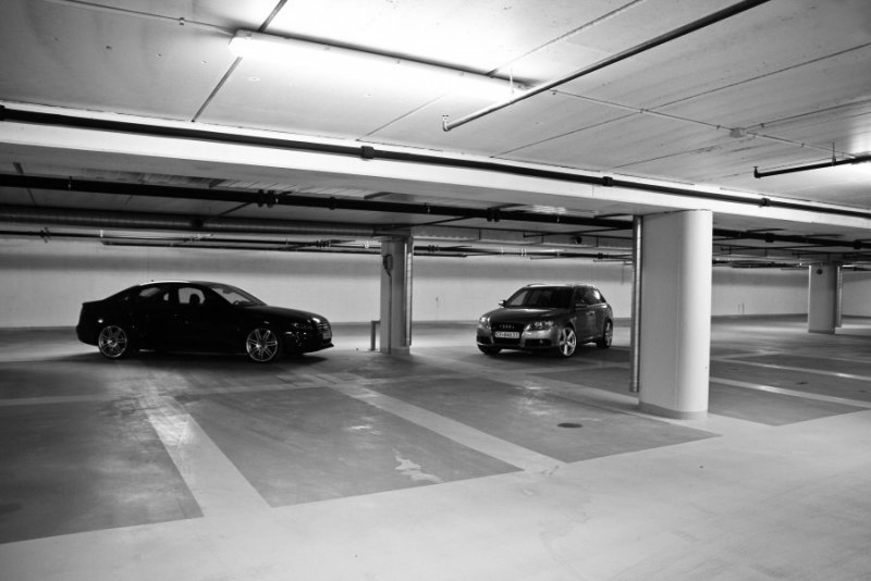 IMG_2144 (900 x 600).jpg