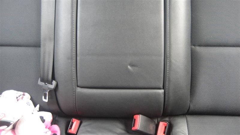 IMG_1581 (Medium).jpg