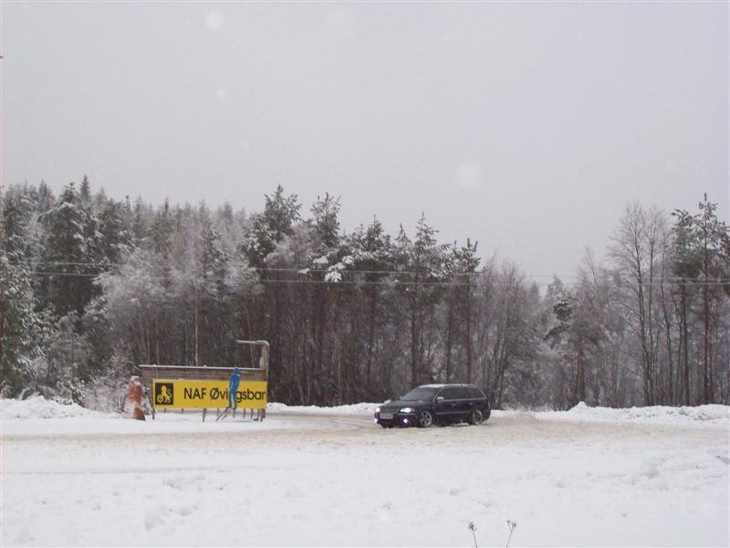 100_0027 (Medium).jpg