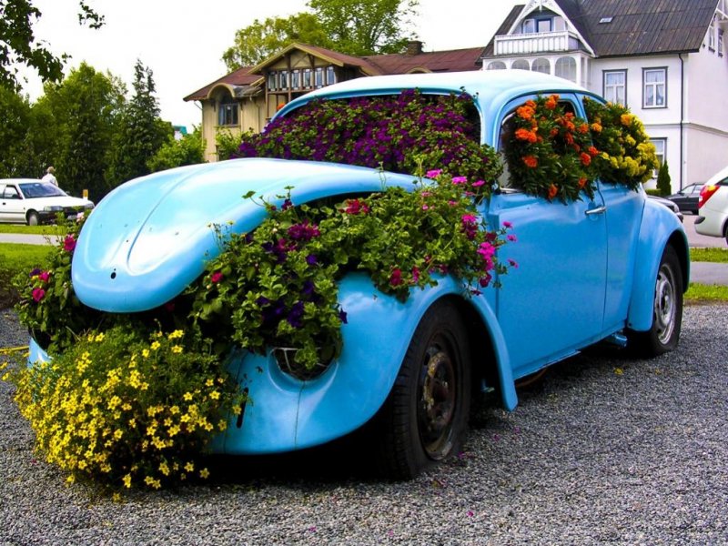 Bilde 002 [1280x768].jpg