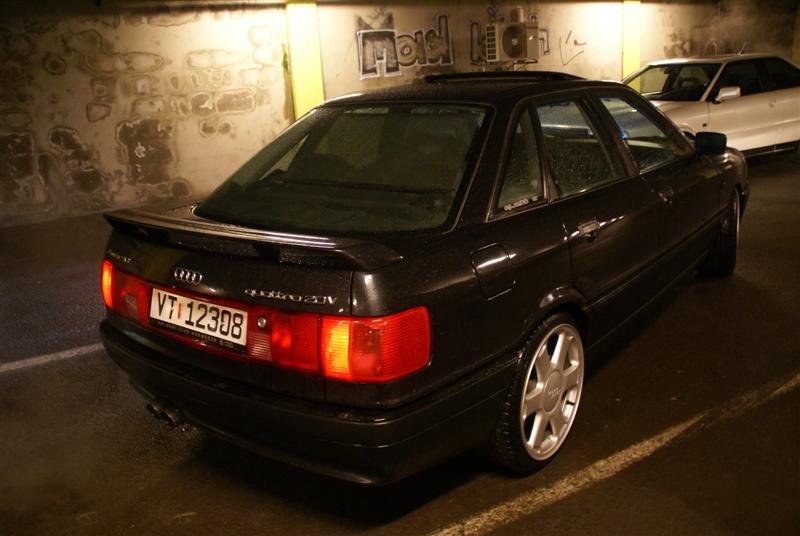 DSC01174 (Medium).JPG