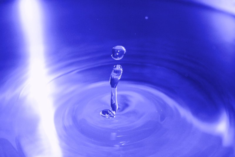 IMG_7963 [1024x768].JPG