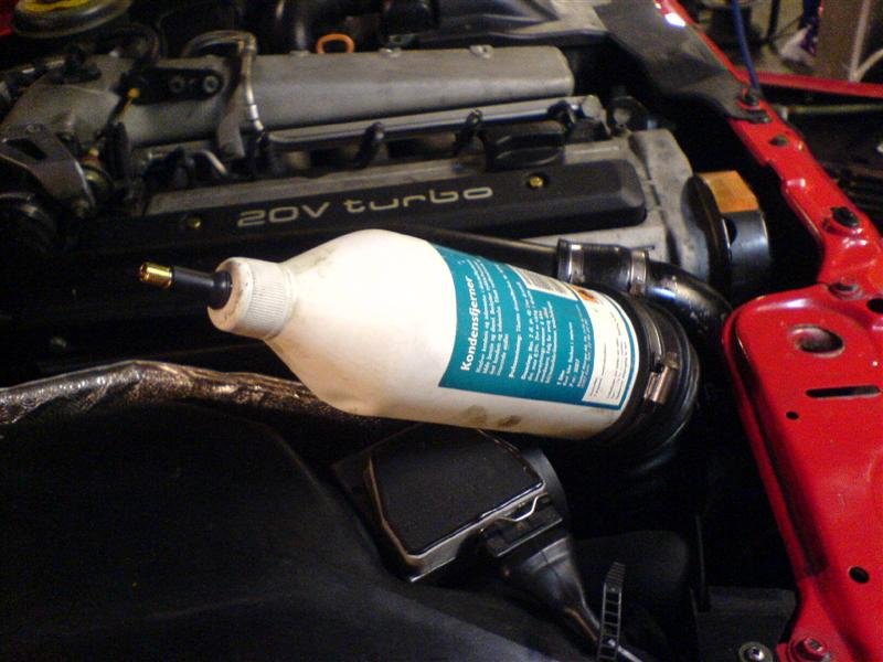 DSC01136 (Medium).JPG