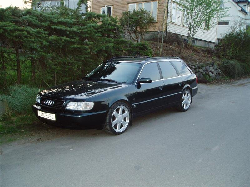 P5090005 (Medium).JPG