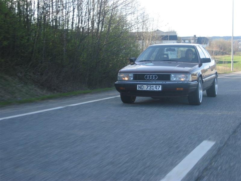 IMG_1805 (Medium).JPG