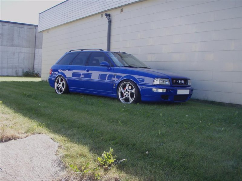 P8010214 (Large).JPG