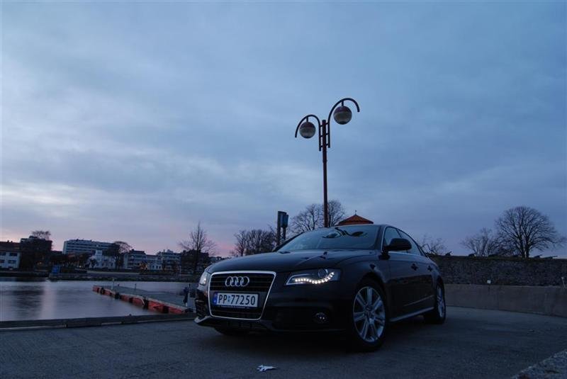 DSC_1367 (Large) (Medium).JPG