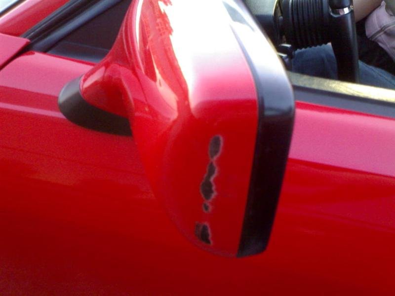 28062006204 (Medium).jpg