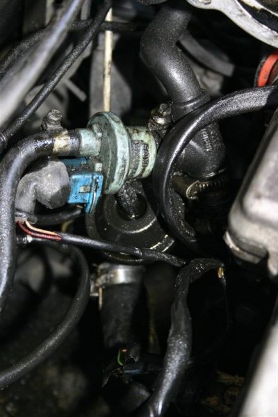 IMG_5000 (Medium).JPG