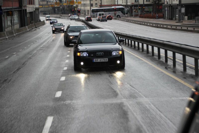 IMG_3266 (Large).JPG