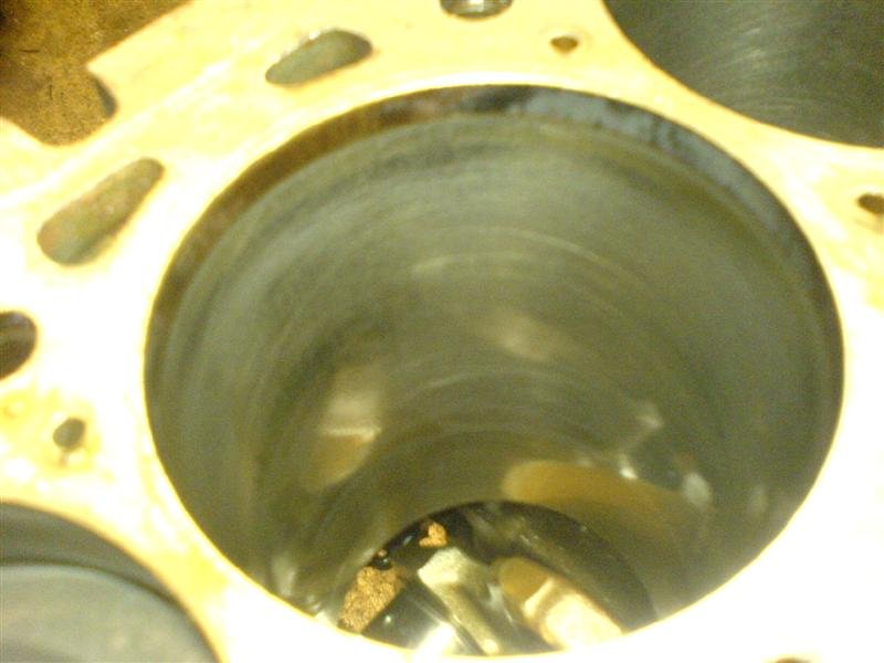 DSC01053 (Medium).JPG