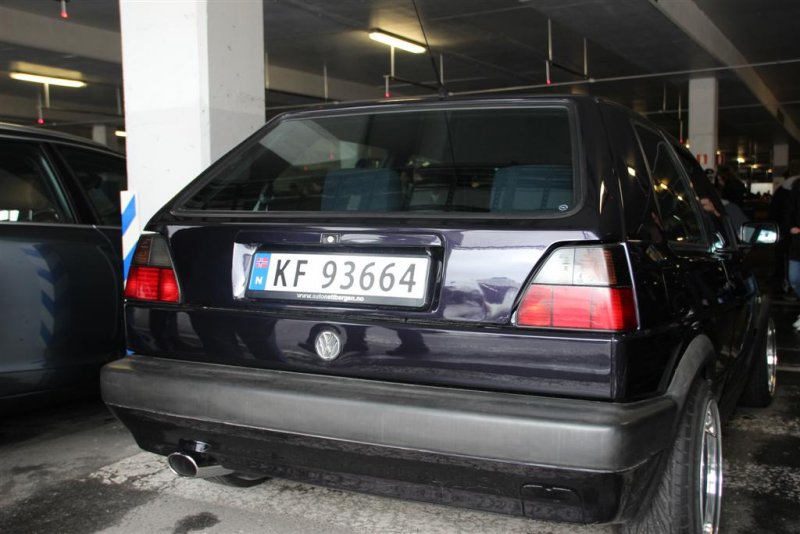 IMG_3328 (Large).JPG