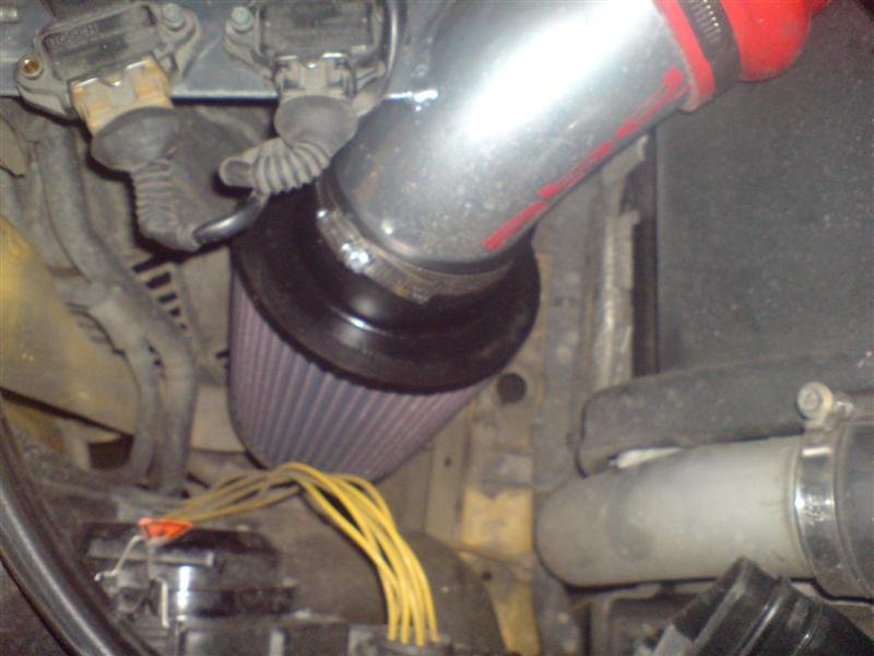 DSC00223 (Medium).JPG