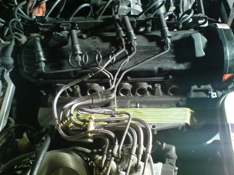 DSC00083 (Medium).JPG