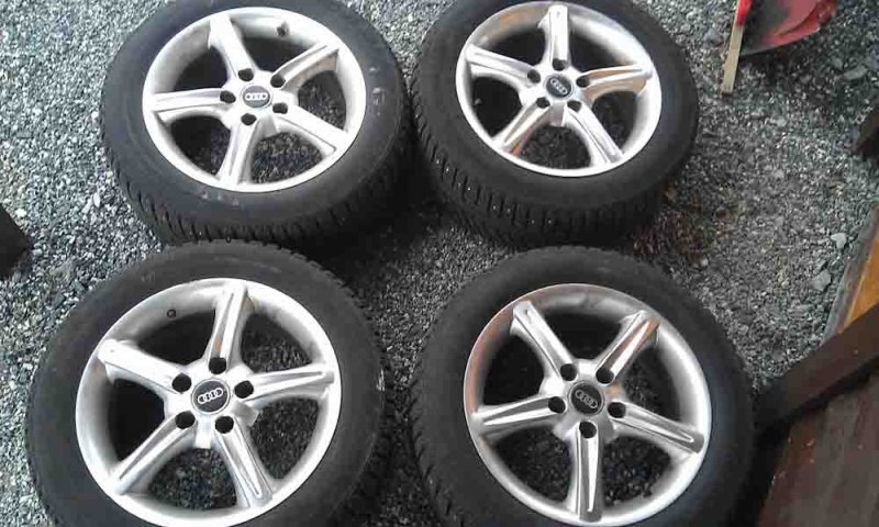 Familien på busikken-4.jpg