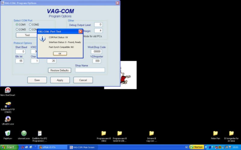 vag-com screen.jpg
