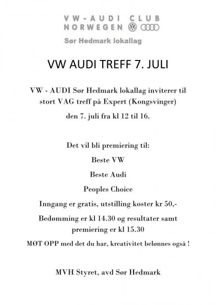 VW audi treff expert_01.jpg