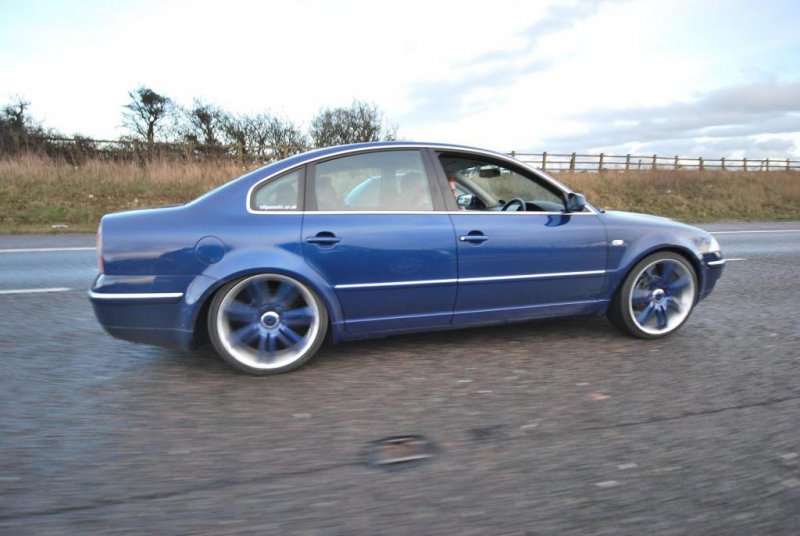 Ultimate Dub 2009 331.jpg