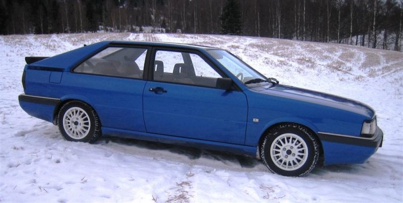 IMG_0141--- (Large).JPG