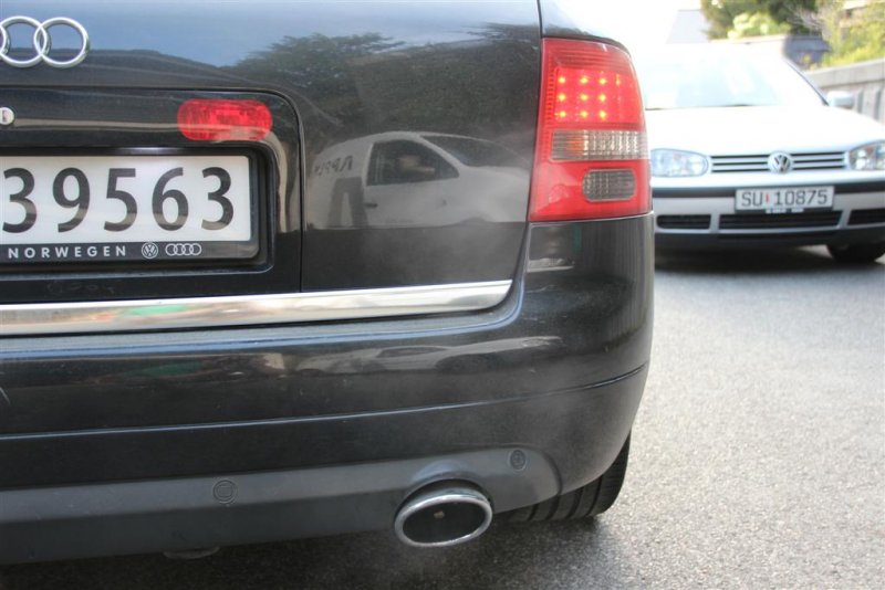 IMG_1833 (Large).JPG