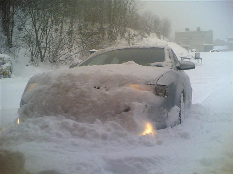 Bilde(305) (Medium).jpg