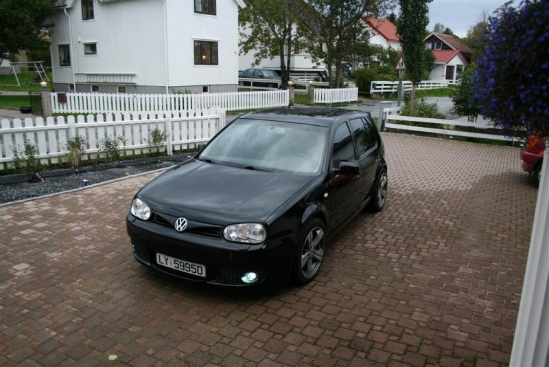 IMG_7089 (Large).JPG