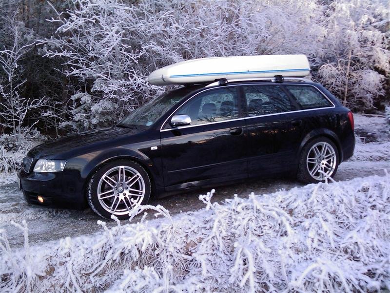 IMAG0042 (Medium).jpg