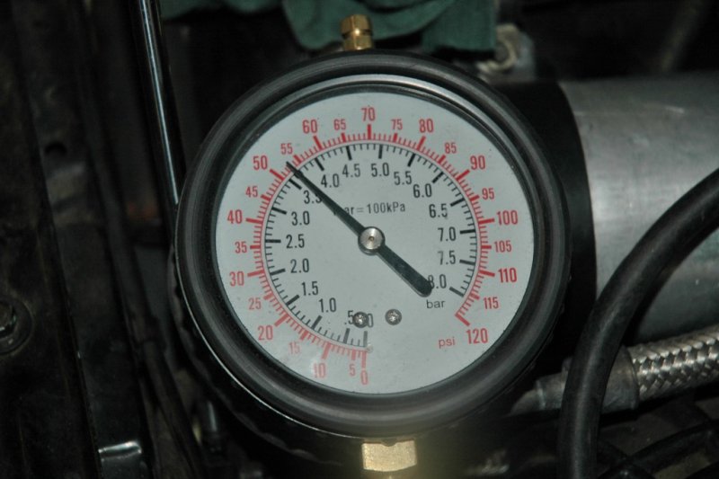 DSC_7885 (1024 x 681).jpg