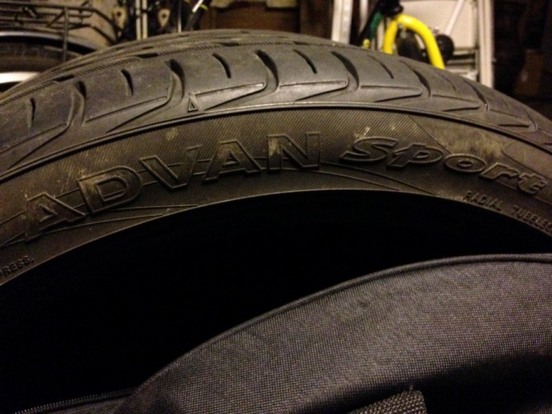 IMG_3578 (Medium).JPG