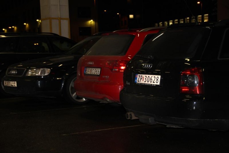 IMG_0848 (Large).JPG