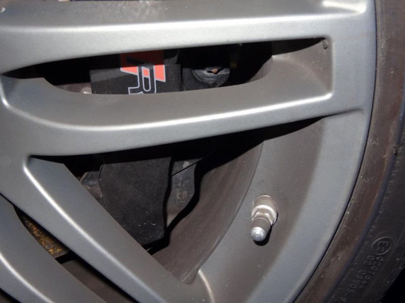 DSC01005 (Large).jpg