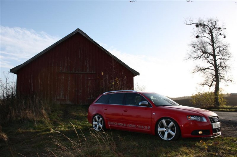 IMG_8369 (Large).jpg