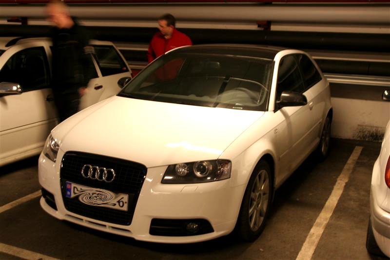 Picture 006 (Medium).jpg