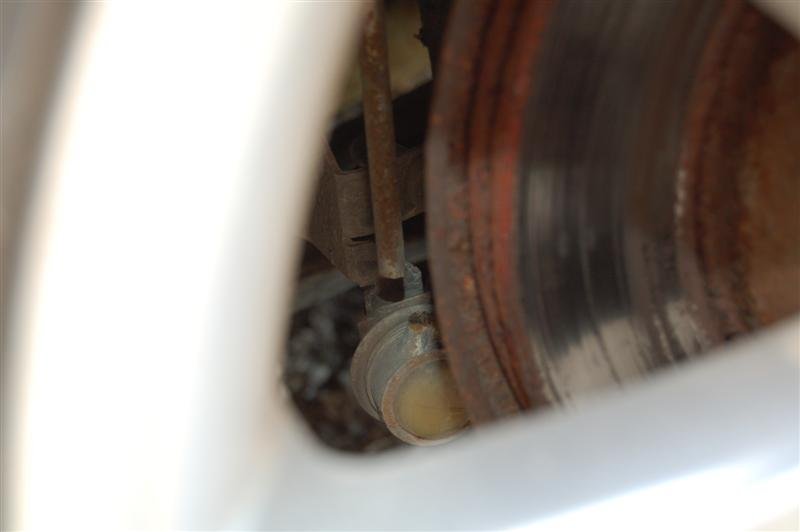 DSC_0037 (Medium).JPG