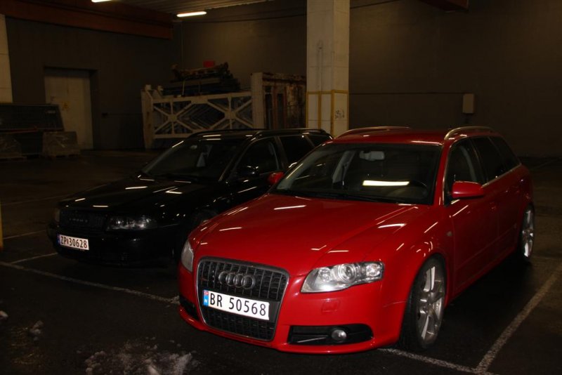 IMG_0855 (Large).JPG