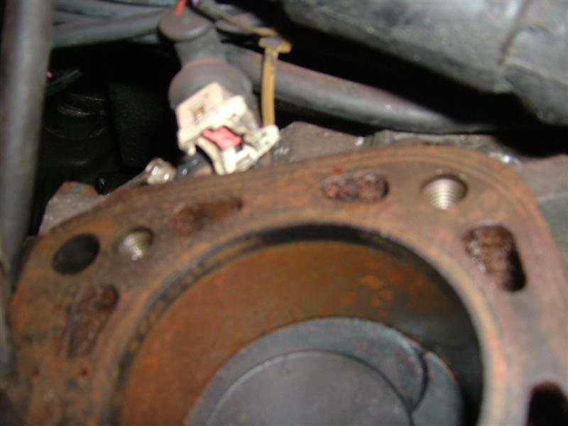 DSCF1414 (Medium).JPG