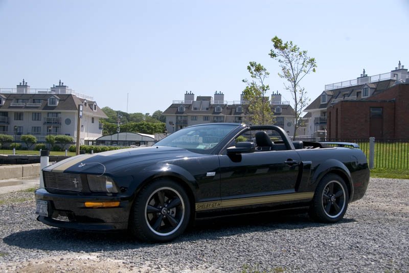 Shelby #6.jpg