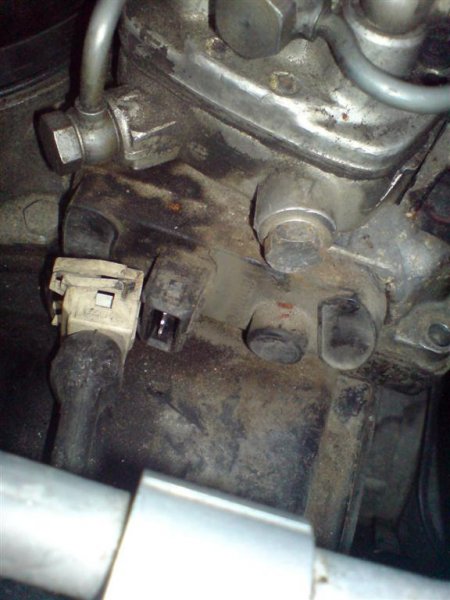 DSC00543 (Large).JPG