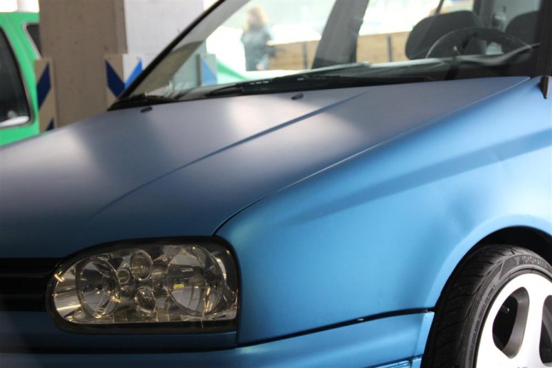 IMG_3312 (Large).JPG