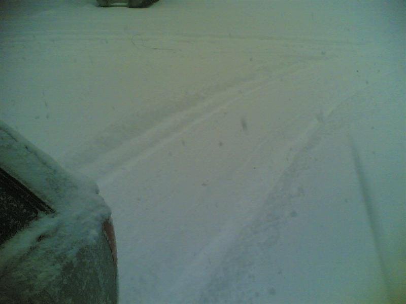 Bilde(306) (Medium).jpg